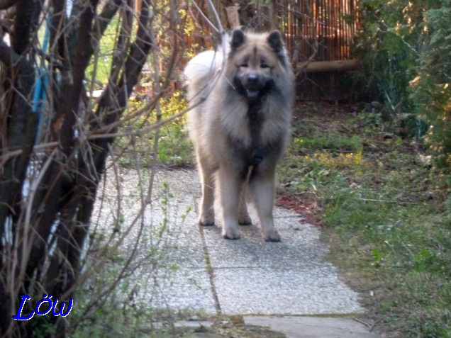 24.3.2019 - Dwix auf dem Rundgang unterwegs